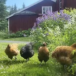 Nyaraló Myllylae By Interhome *