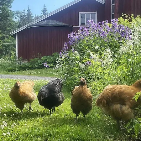 Myllylae By Interhome Vakantiehuis