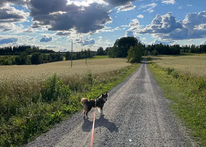 Myllylae By Interhome