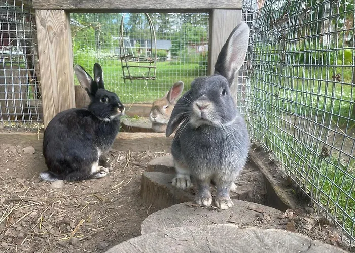 Myllylae By Interhome Nyaraló